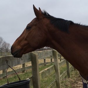 Meet your Posher, Isabella